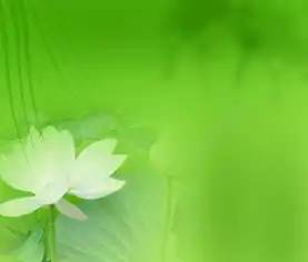 绿色背景图片模板免费下载psd格式5500像素编号13859193千图网
