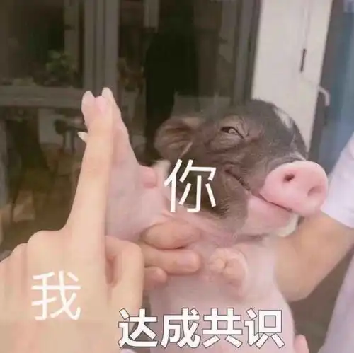 哪个地区的男生最适合谈恋爱扎心了
