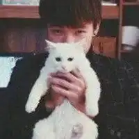 男生抱猫头像一左一右微信头像图片大全
