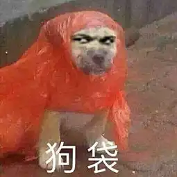 你应学会的质押保函质押贷款内部控制要点
