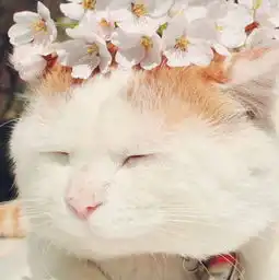 一次就好海因瑜洲
