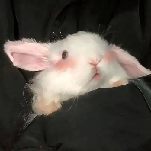 猜你喜欢的情侣头像来咯
