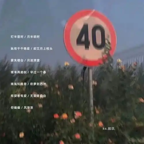 偷偷藏不住爱意的小众情侣网名
