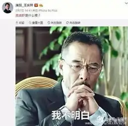 苏有朋王凯表情包大战,明星的手机里到底藏了多少自己的表情包
