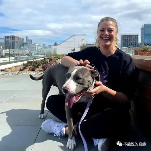 被领养却不敢进屋里,食盘水碗全都不会用,妈妈用行动让爱犬蜕变
