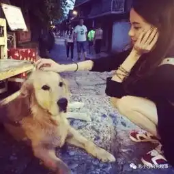二哈天天守在冰箱前,每天和铲屎官大战三百回合后发现原来这货只是想......
