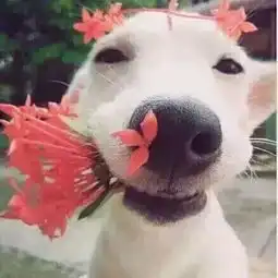 兴文在线
