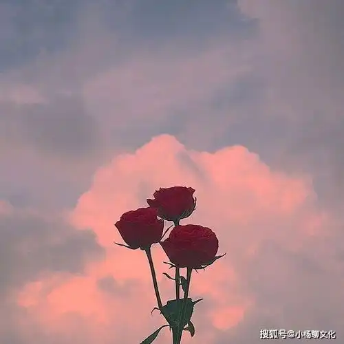 最精彩的30句话,经典走心,独一无二
