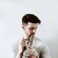 男人抱猫头像阳光下微信头像图片大全
