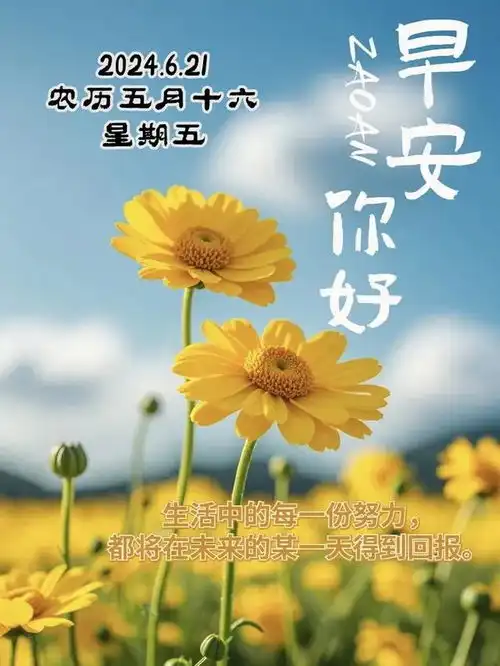 2024年6月21日农历五月十六祝福图片星期五最新问候美图周五愉快
