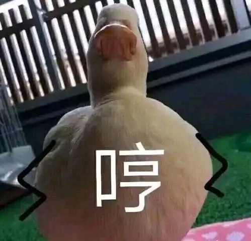 每日一技换季了,毛衣卫衣和风衣该怎么打理和清洗
