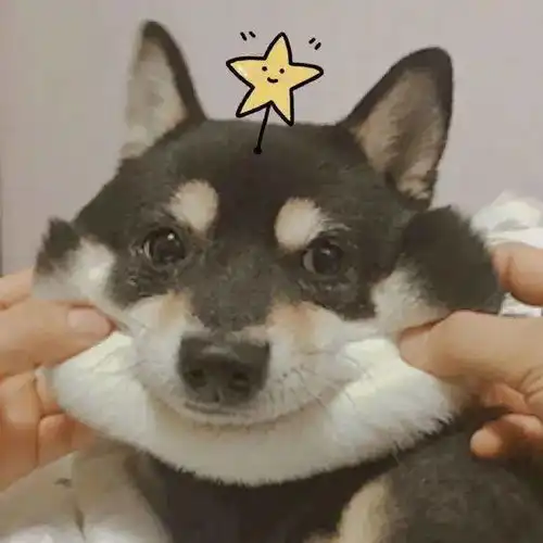 头像小众情话短句
