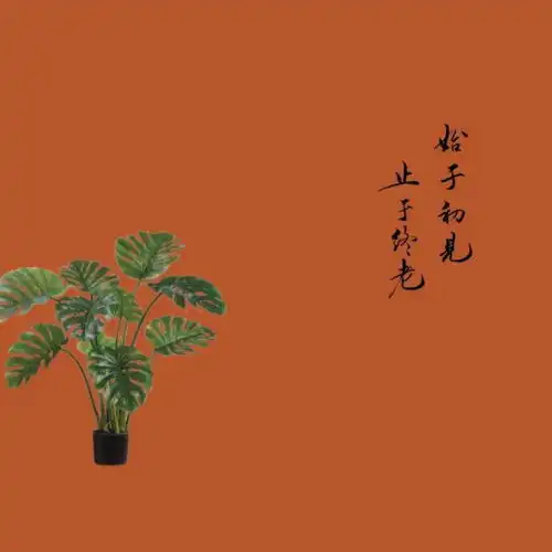 动漫套图高质量动漫头像背景图套图
