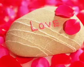 爱情美图唯美温馨玫瑰点心love爱你
