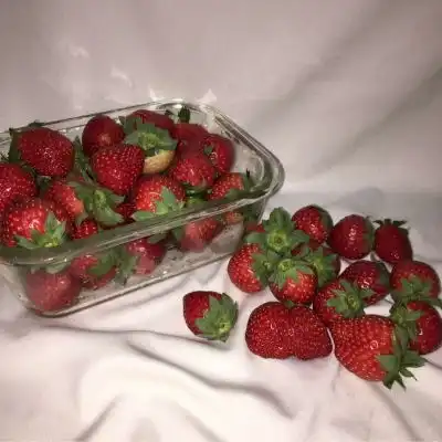 ins草莓背景你和草莓一样甜听风景静物头像我要个性网
