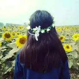 这个情头另一个是什么
