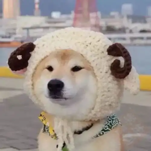 抖音超火十大情侣头像
