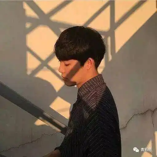 小十七春风十里,不如学长学姐告诉你
