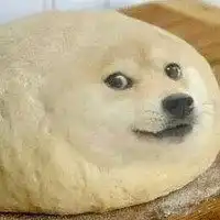 搞笑的柴犬doge表情图片头像
