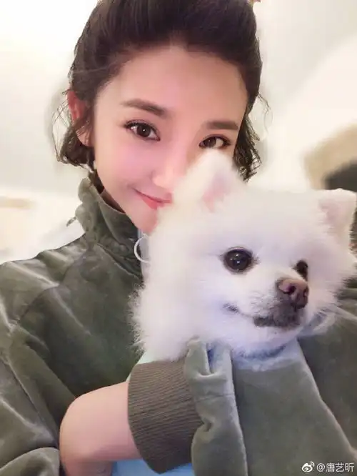 张若昀和唐艺昕的狗狗也是情侣的吗

