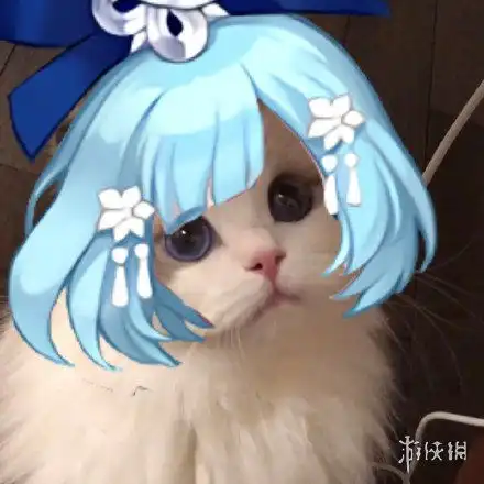 阴阳师猫咪接头头像大全
