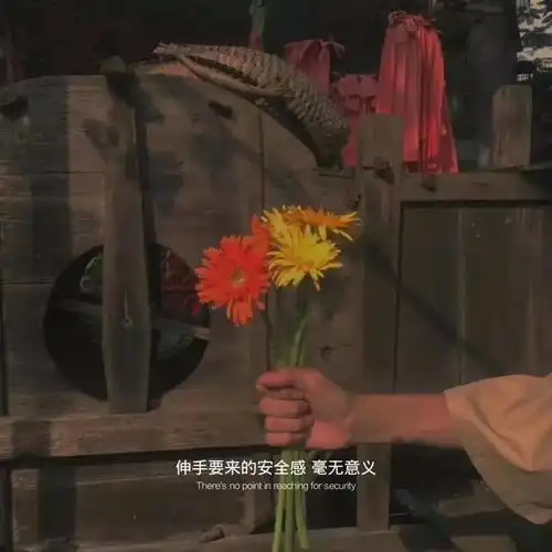文案也许释怀才是尊重和理解别人的方式
