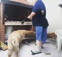 网友分享大型手机拍照鬼畜现场笑到骨折头裂...
