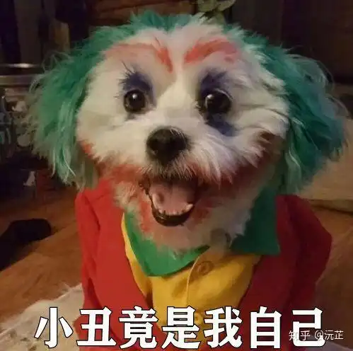 原来小丑竟是我自己表情包大赏,禁止套娃
