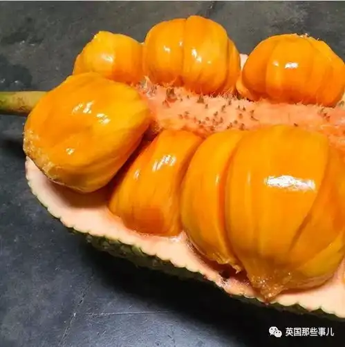 三年里,这对情侣餐餐只吃水果只是这变化,有人欣赏有人担忧果食主义者

