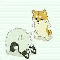 卡通柯基情侣头像一对微信头像图片大全
