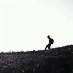 我想和你一起走遍世界的每个角落黑白情侣堆糖,美好生活研究所
