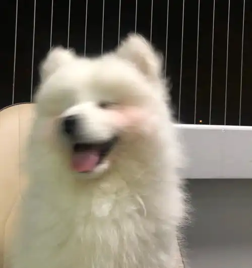 说不定会用到
