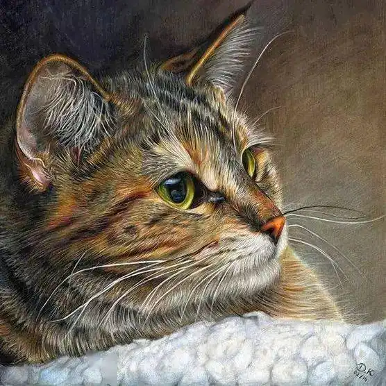 可爱的动物彩铅画,萌萌哒
