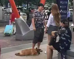 盘点lol圈的那些情侣们最恩爱的果然是他们俩
