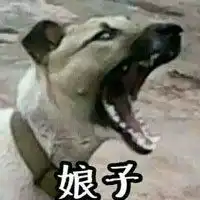 人用手捏狗的情侣头像微信头像图片大全
