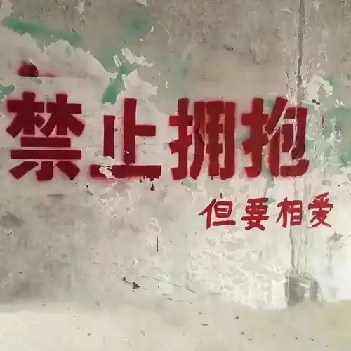 它们,是城市里某个角落的浪漫,拨动我们内心的某一处心弦
