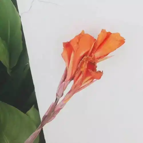 换个朋友圈背景图,换个心情
