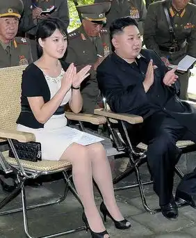 金正恩姑妈80天未现身或病危曾被指为实际掌权人
