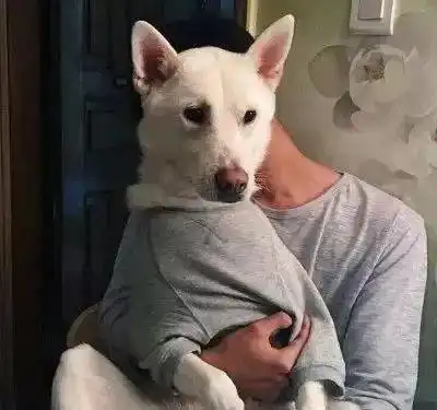 遇到这样的人,你就答应了吧
