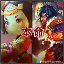 射手的本命辅助是谁,鲁班配项羽,伽罗配张飞,那么后羿呢

