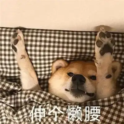 天冷不想起床的表情包过段时间就要遭受到被窝的绑架了
