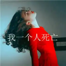 这张图片是什么里面的
