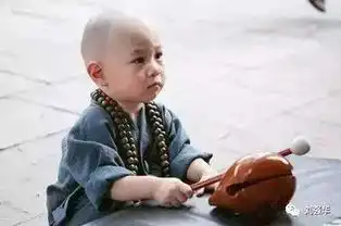 小和尚卖石头,唤醒无数人
