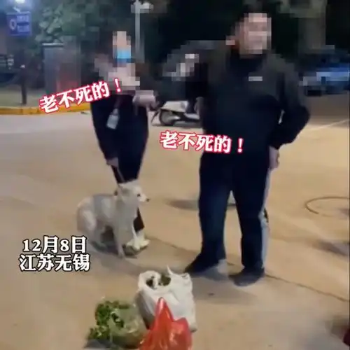 女子遛狗不牵绳,老人为保护孩子踩狗爪,被女子大骂老不死的
