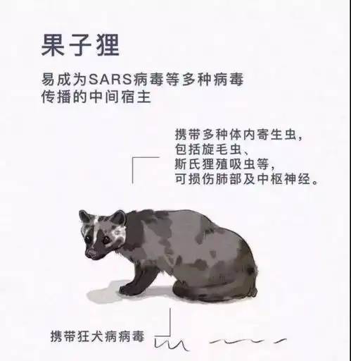 不接近不交易金华四部门联合发布保护野生动物远离疫病倡议书
