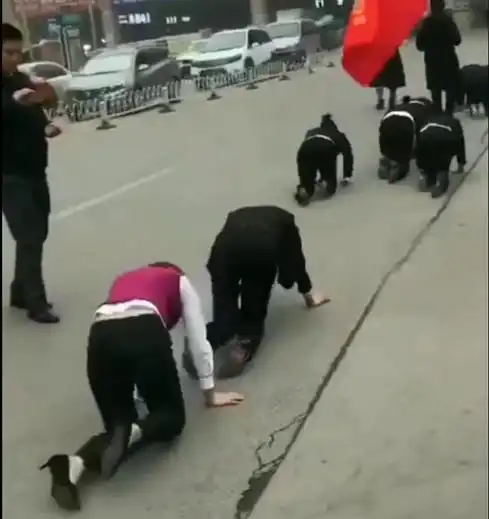 山东枣庄多名女员工街头集体跪地爬行,警方商家为吸引眼球
