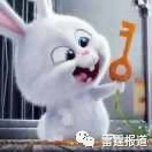 六周年,感恩有你一路同行
