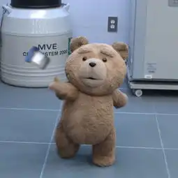 求图片里泰迪熊的高清头像图

