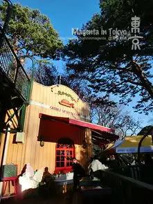 找个地方过圣诞喃喃s日本东京之旅迪士尼浅草寺筑地市场明治神宫东京塔新宿原宿涩谷

