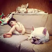 斗牛犬和萌小孩情侣头像微信头像图片大全

